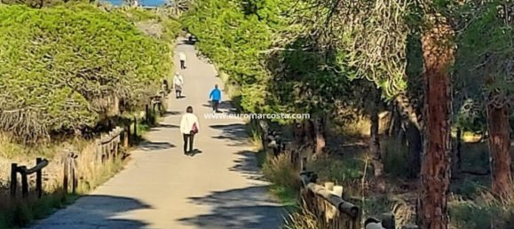3 chambres Villa à Guardamar del Segura, Spain No. 28919 39