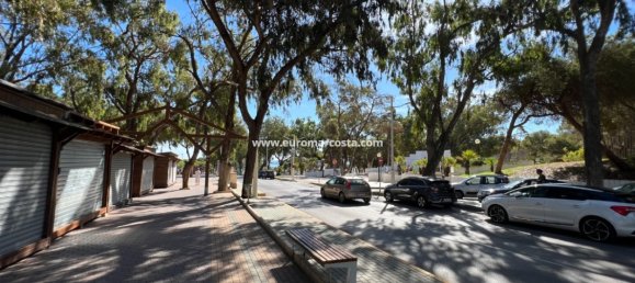 3 chambres Villa à Guardamar del Segura, Spain No. 28919 50