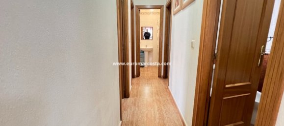 3 chambres Villa à Guardamar del Segura, Spain No. 28919 18