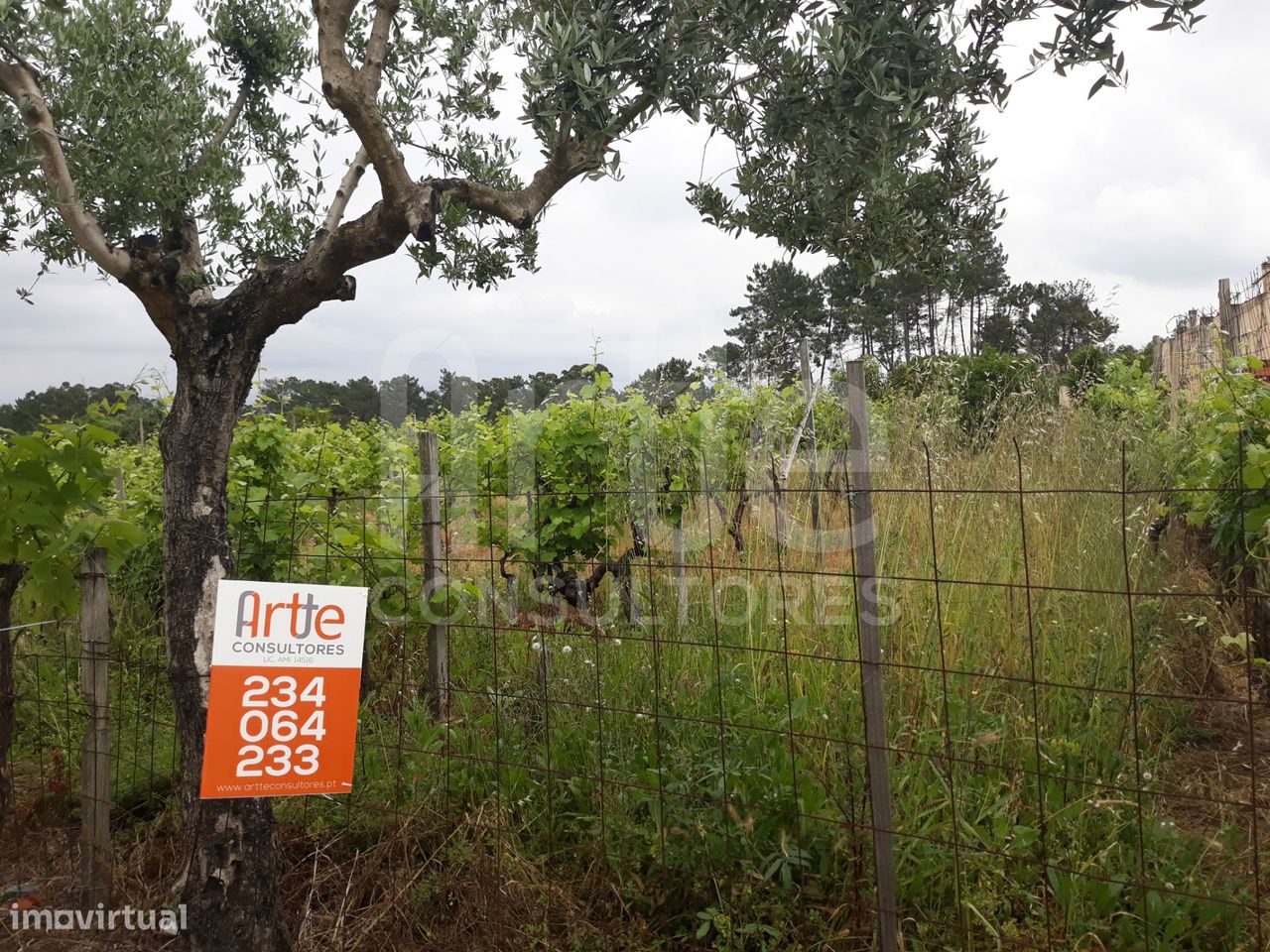 Terreno em Oiã, Portugal 1440 m² N.º 92843