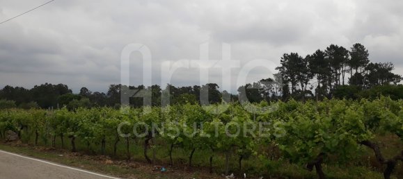 Terreno em Oiã, Portugal 1440 m² N.º 92843 2