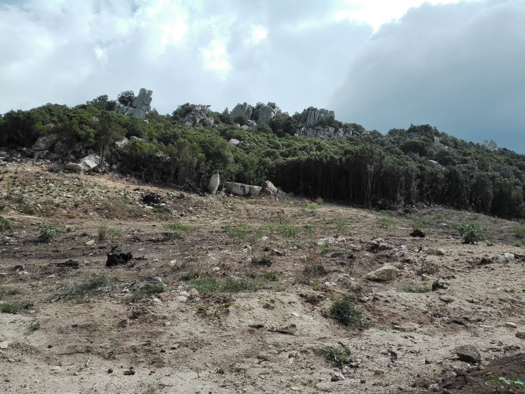 2398m² Land in Foce, France No. 91359