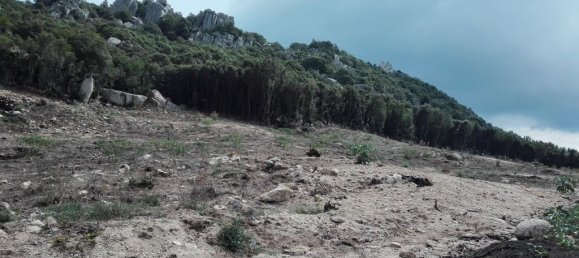 2398m² Land in Foce, France No. 91359 4