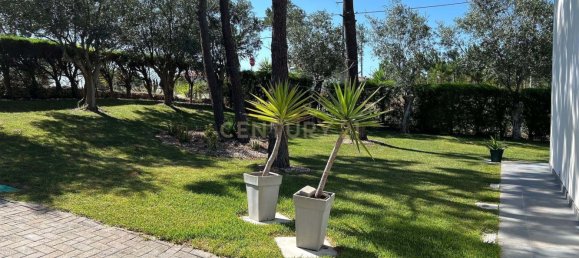 3 Schlafzimmer Villa in Caldas da Rainha, Portugal, Nr. 146594 12