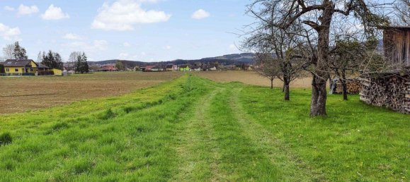  Land in Voitsberg, Austria No. 113500 6