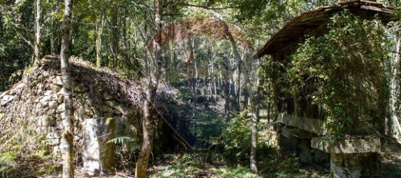 قطعة أرض في Sao Pedro do Sul, Portugal 71406متر مربع رقم 59064 9