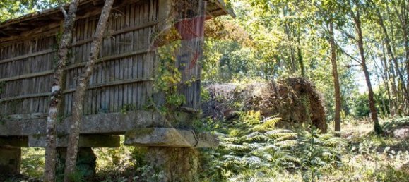 قطعة أرض في Sao Pedro do Sul, Portugal 71406متر مربع رقم 59064 10