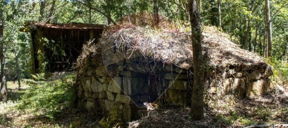 قطعة أرض في Sao Pedro do Sul, Portugal 71406متر مربع رقم 59064 15