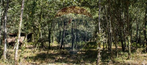 قطعة أرض في Sao Pedro do Sul, Portugal 71406متر مربع رقم 59064 14