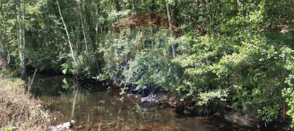 قطعة أرض في Sao Pedro do Sul, Portugal 71406متر مربع رقم 59064 8