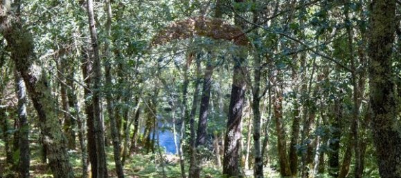 قطعة أرض في Sao Pedro do Sul, Portugal 71406متر مربع رقم 59064 16