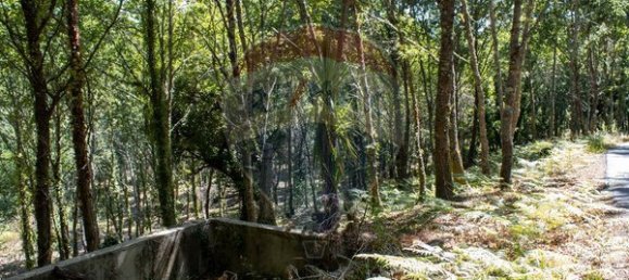 قطعة أرض في Sao Pedro do Sul, Portugal 71406متر مربع رقم 59064 4