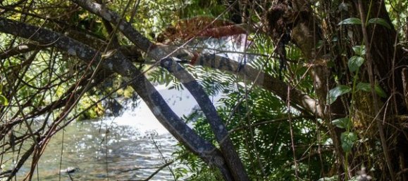 قطعة أرض في Sao Pedro do Sul, Portugal 71406متر مربع رقم 59064 12