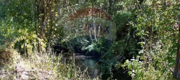 قطعة أرض في Sao Pedro do Sul, Portugal 71406متر مربع رقم 59064 2