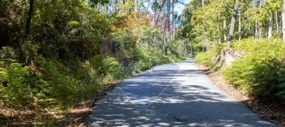 قطعة أرض في Sao Pedro do Sul, Portugal 71406متر مربع رقم 59064 3