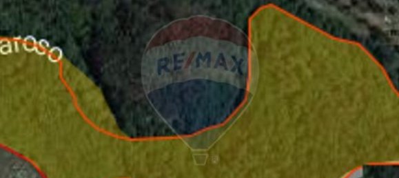 قطعة أرض في Sao Pedro do Sul, Portugal 71406متر مربع رقم 59064 11