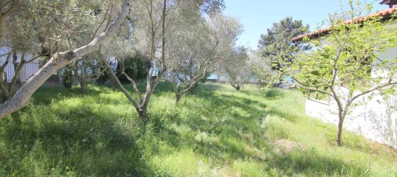 2 غرف نوم عقار تجاري في Chalkidiki, Greece رقم 6773 23