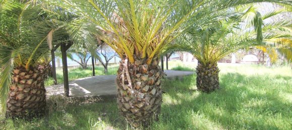 2 غرف نوم عقار تجاري في Chalkidiki, Greece رقم 6773 21