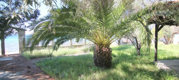 2 غرف نوم عقار تجاري في Chalkidiki, Greece رقم 6773 17