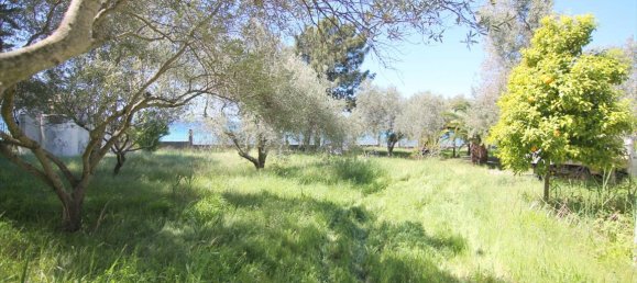 2 غرف نوم عقار تجاري في Chalkidiki, Greece رقم 6773 24