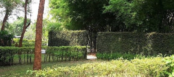 Condominio de 2 dormitorios en Chiang Mai, Thailand No. 26958 7