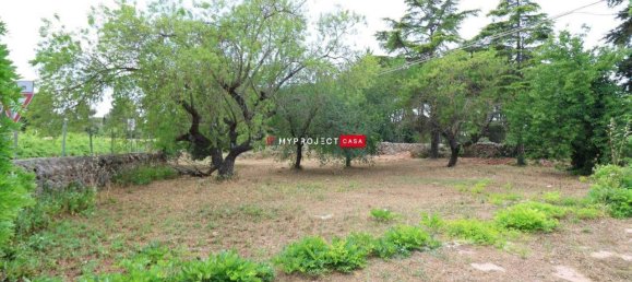 2-Zimmer Villa in Martina Franca, Italy, Nr. 163977 18