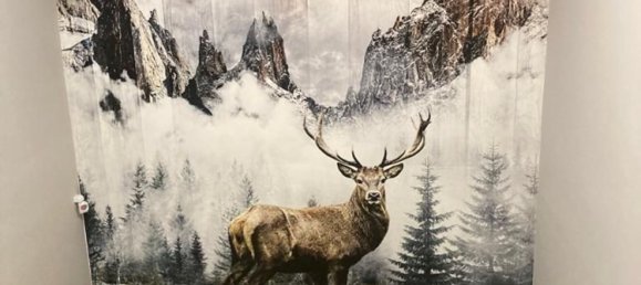 Estúdio em Ayas, Italy N.º 301516 15