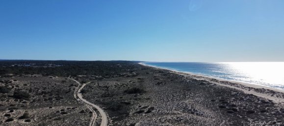 4 bedrooms Villa in Alcacer do Sal, Portugal No. 142225 14