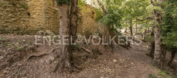 Castillos de 12 dormitorios en Caronia, Italy No. 103979 8