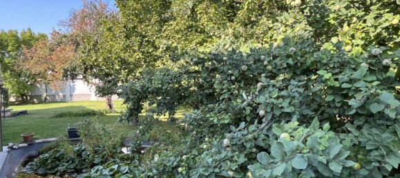 7 rooms House in Mistelbach, Austria No. 226460 24