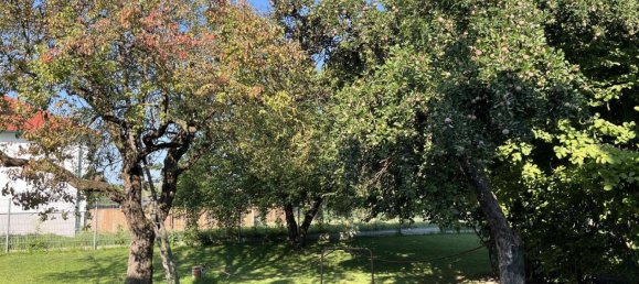 7 rooms House in Mistelbach, Austria No. 226460 26