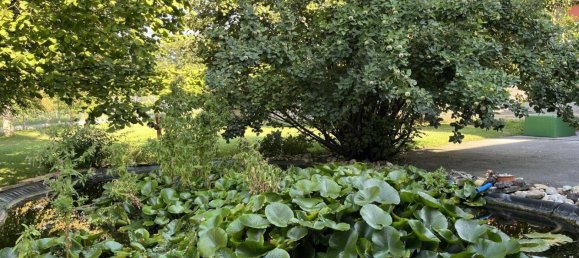 7 rooms House in Mistelbach, Austria No. 226460 29