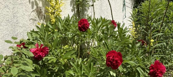 Adosado de 4 dormitorios en Munich, Germany No. 222251 30