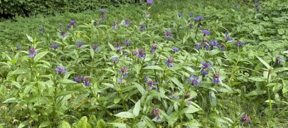 Adosado de 4 dormitorios en Munich, Germany No. 222251 29