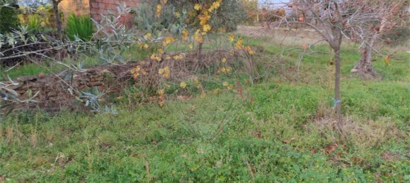 3 chambres Maison à Castelo Branco, Portugal No. 182005 39
