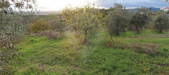 3 chambres Maison à Castelo Branco, Portugal No. 182005 7