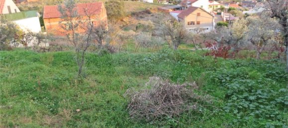 3 chambres Maison à Castelo Branco, Portugal No. 182005 37