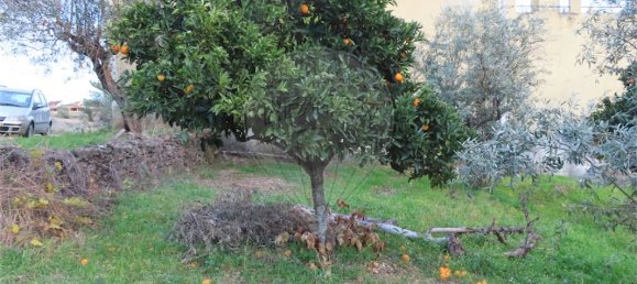 3 chambres Maison à Castelo Branco, Portugal No. 182005 46