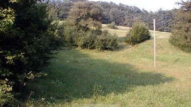 Terrain à Altlengbach, Austria No. 149633