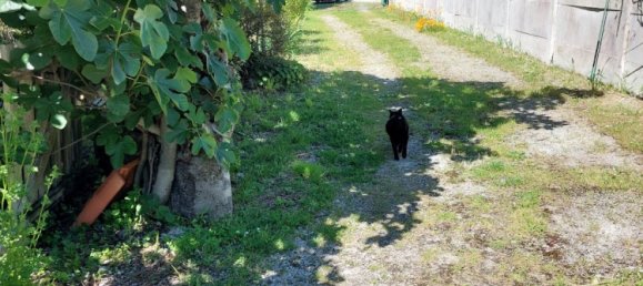 3 bedrooms House in Charente-Maritime, France No. 300969 4