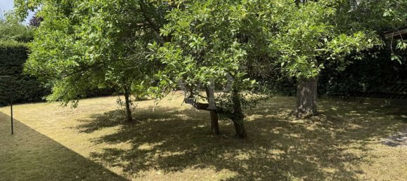 2 bedrooms House in Neckar-Odenwald-Kreis, Germany No. 230720 6