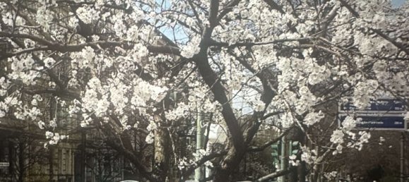 1 غرف نوم شقة في Kreuzberg, Germany رقم 230627 13