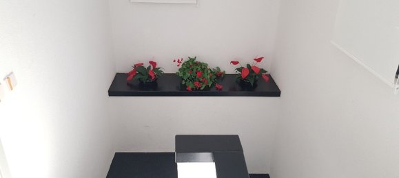 3 bedrooms Property in Chalkidiki, Greece No. 7630 13