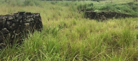 Land for sale in Bagaces, Guanacaste, Costa Rica № 1699 5