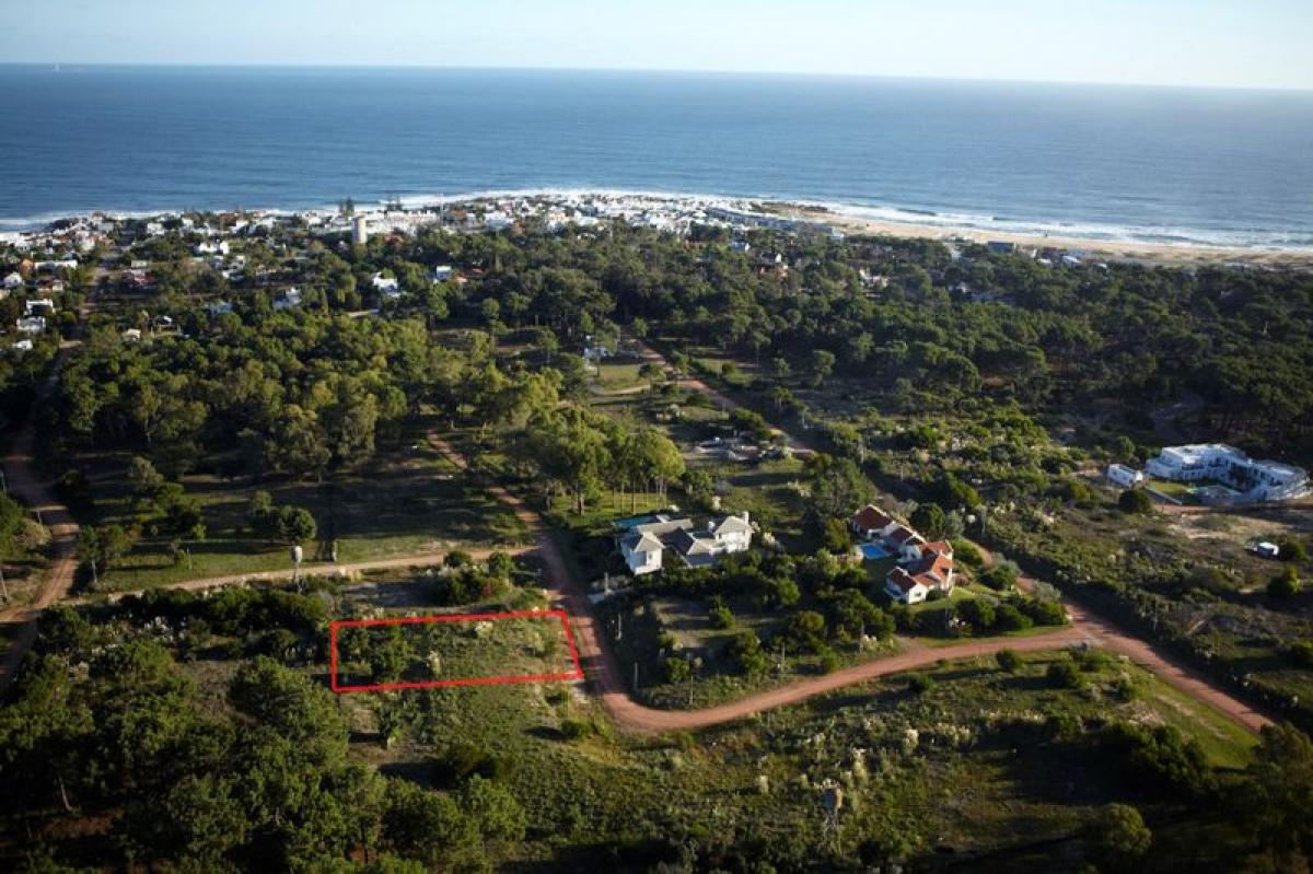 Terreno em Maldonado, Uruguay N.º 16007