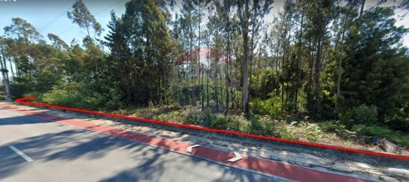 1820m² Land in Vagos, Portugal No. 63023 2