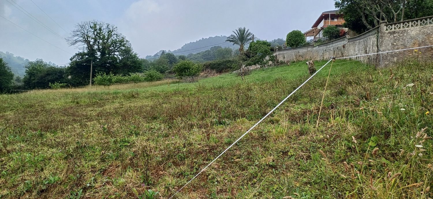  Land in Asturias, Spain No. 154071