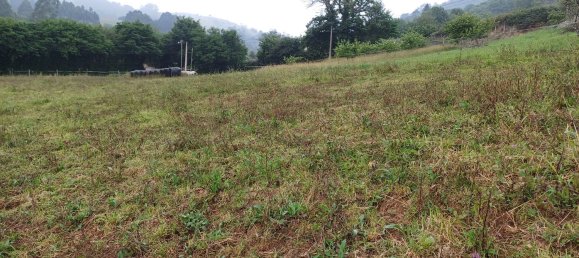  Land in Asturias, Spain No. 154071 7