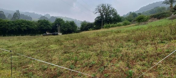  Land in Asturias, Spain No. 154071 6