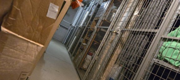 1 غرف نوم شقة في Kelsterbach, Germany رقم 277471 16